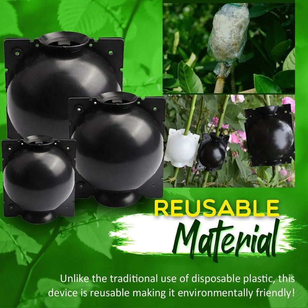 RootBox - Plant Root Growing Box