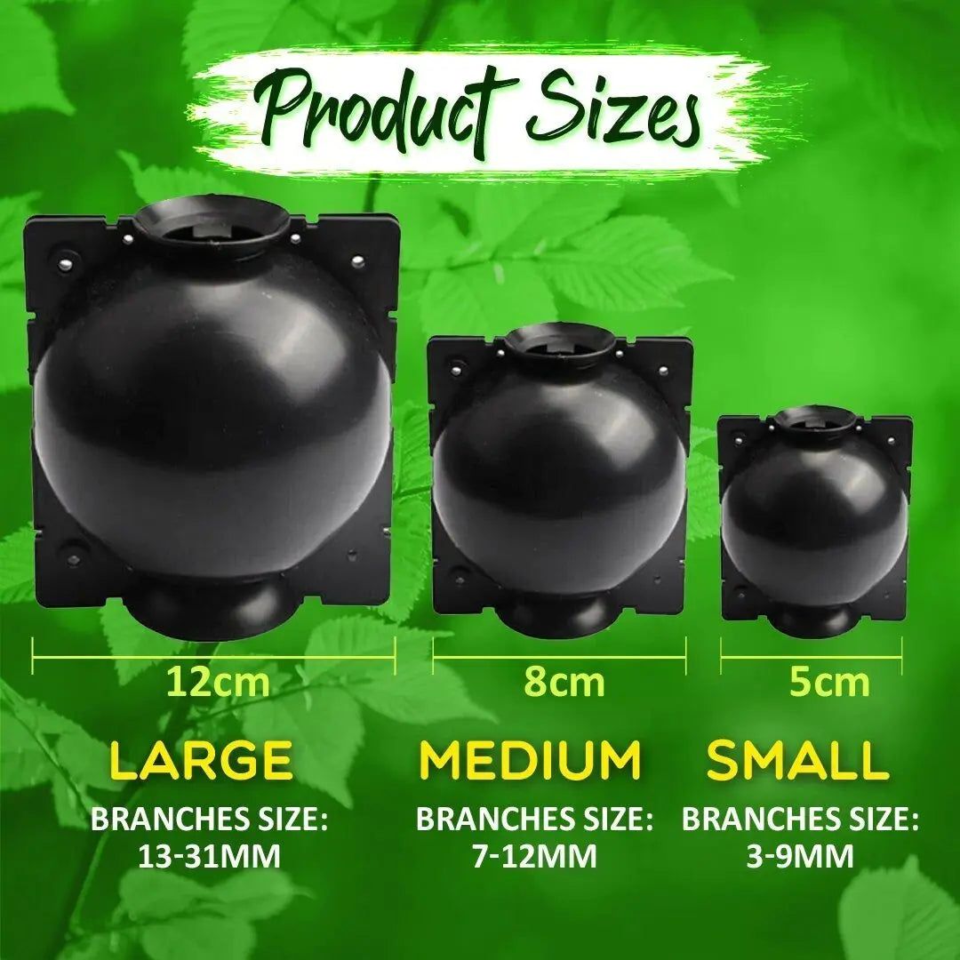 RootBox - Plant Root Growing Box