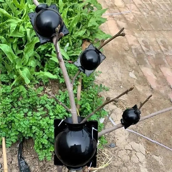 RootBox - Plant Root Growing Box