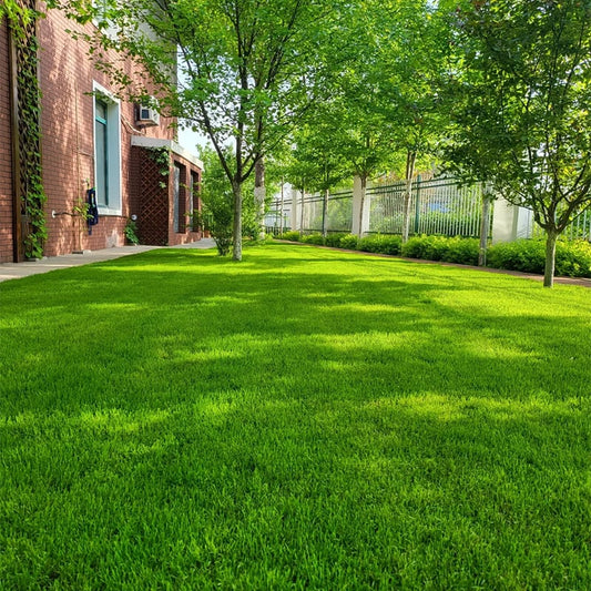 EverLush - All Season Dwarf Grass Seed