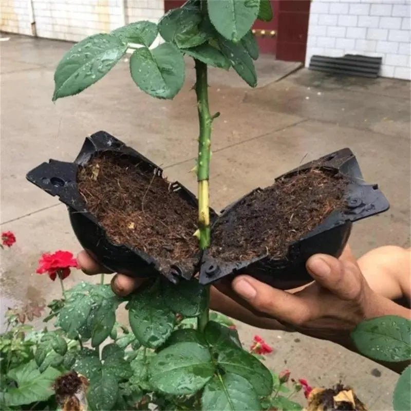 RootBox - Plant Root Growing Box