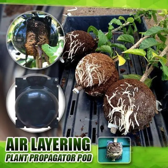 RootBox - Plant Root Growing Box