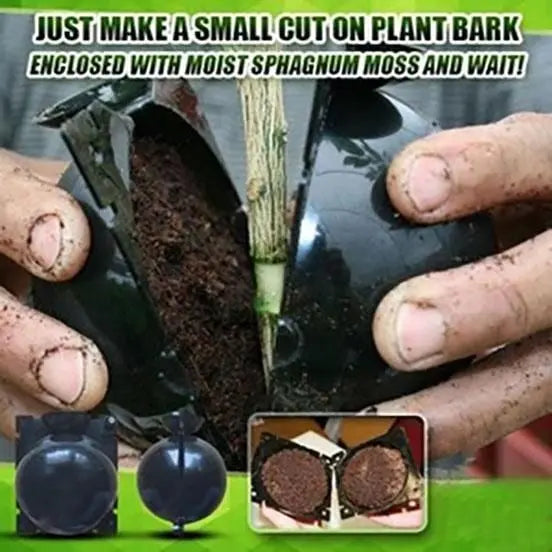RootBox - Plant Root Growing Box